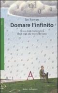 Domare l'infinito: Storia della matematica dagli inizi alla teoria del caos