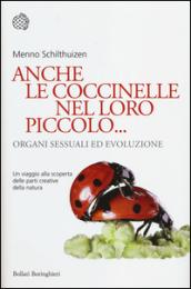 Anche le coccinelle nel loro piccolo... Organi sessuali ed evoluzione