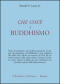 Che cos'è il Buddhismo