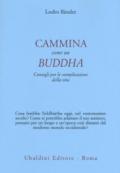 Cammina come un Buddha. Consigli per le complicazioni della vita