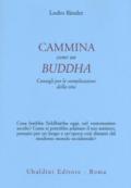 Cammina come un Buddha. Consigli per le complicazioni della vita