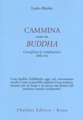 Cammina come un Buddha. Consigli per le complicazioni della vita