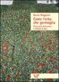 Come l'erba che germoglia. Precarietà dell'uomo e fedeltà a Dio