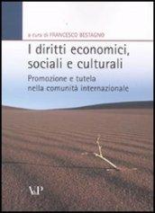 I diritti economici, sociali e culturali. Promozione e tutela nella comunità internazionale