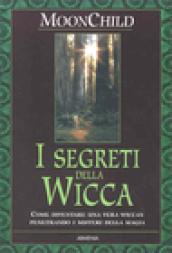 I segreti della Wicca