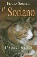 Il soriano. L'amico di casa