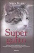 Supergatto