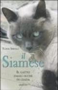 Il siamese. Il gatto dagli occhi di giada