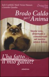 Brodo caldo per l'anima. L'ha fatto... il mio gatto!?