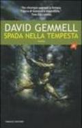 Spada nella tempesta