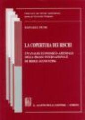 La copertura dei rischi. Un'analisi economico-aziendale della prassi internazionale di hedge accounting