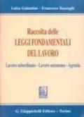 Raccolta delle leggi fondamentali del lavoro. Lavoro subordinato, lavoro autonomo, agenzia. Aggiornata al 9 ottobre 2001. ..