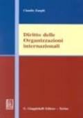 Diritto delle organizzazioni internazionali