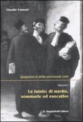 Spiegazioni di diritto processuale civile. Con CD-ROM: 1