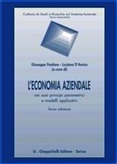 L'economia aziendale nei suoi principi parametrici e modelli applicativi