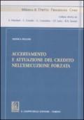 Accertamento e attuazione del credito nell'esecuzione forzata