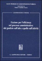 L'azione per l'efficienza nel processo amministrativo: dal giudizio sull'atto a quello sull'attività