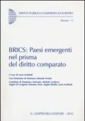 BRICS: Paesi emergenti nel prisma del diritto comparato