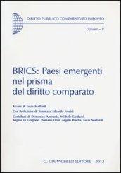 BRICS: Paesi emergenti nel prisma del diritto comparato