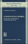 Il sistema penale minorile. Imputabilità, pericolosità ed esigenze educative