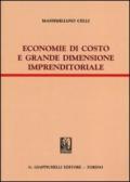 Economie di costo e grande dimensione imprenditoriale