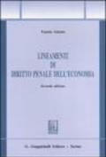 Lineamenti di diritto penale dell'economia: 1