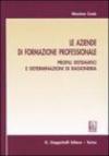 Le aziende di formazione professionale. Profili sistematici e determinazioni di ragioneria