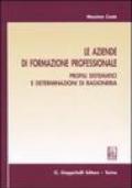 Le aziende di formazione professionale. Profili sistematici e determinazioni di ragioneria