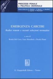 Emegenza carceri. Radici remote e recenti soluzioni normative. Atti del Convegno (Teramo, 6 marzo 2014)