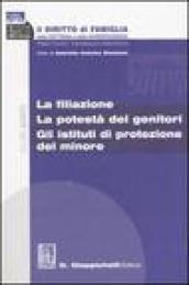 Il diritto di famiglia nella dottrina e nella giurisprudenza. Trattato teorico-pratico. 4.La filiazione. La potestà dei genitori. Gli istituti di protezione del minore