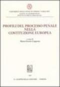 Profili del processo penale nella Costituzione europea