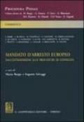 Mandato d'arresto europeo. Dall'estradizione alle procedure di consegna