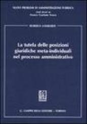 La tutela delle posizioni giuridiche meta-individuali nel processo amministrativo