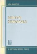 Diritto sindacale