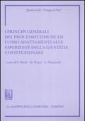 I principi generali del processo comune ed i loro adattamenti alle esperienze della giustizia costituzionale. Atti del Convegno (Siena, 8-9 giugno 2007)