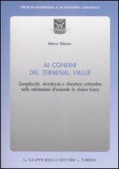 Ai confini del terminal value. Complessità, incertezza e sfocature estimative nelle valutazioni d'azienda in chiave fuzzy