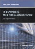 La responsabilità della pubblica amministrazione. Casi di giurisprudenza