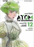 Atom. The beginning. Vol. 12