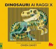 Dinosauri ai raggi x