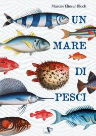 Un mare di pesci. Ediz. a colori