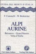 Alpi Aurine. Brennero, Gran Pilastro, Vetta d'Italia