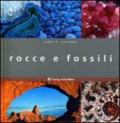 Rocce e fossili