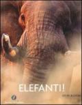 Elefanti!