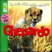 Ghepardo