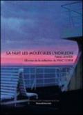 La nuit les molécules l'horizon Fabien Danesi. Oeuvres de la collection du FRAC Corse. Ediz. illustrata