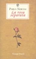 La rosa separata. Testo spagnolo a fronte