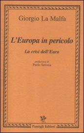 L'Europa in pericolo. La crisi dell'euro