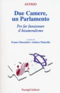 Due Camere un Parlamento. Per far funzionare il bicameralismo