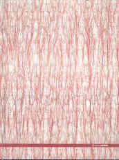 Ghada Amer. Catalogo della mostra (Roma, 25 maggio-30 settembre 2007). Ediz. italiana e inglese