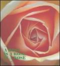 A Rose is a Rose is a Rose. Rose Barni dal 1882. Ediz. italiana e ingl